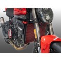 DBK Special Parts (Ducabike) Aluminum Radiator Guard for the Ducati Hypermotard / Monster / Multistrada V2 (2025+) DBK Special Parts (Ducabike) Aluminum Radiator Guard for the Ducati Hypermotard / Monster / Multistrada V2 (2025+)